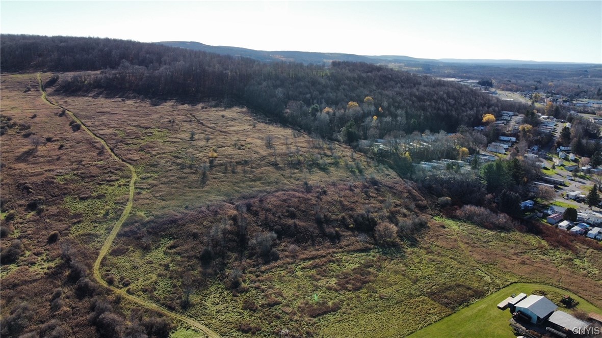 0 Starr Road Cortland, NY 13045 - Photo 6 of 7