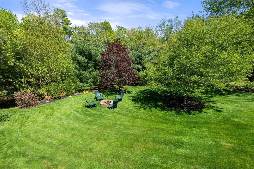 7 Brook Hill Road Sturbridge, MA 01518 - Photo 37 of 41 a view of a backyard with plants and a bench
