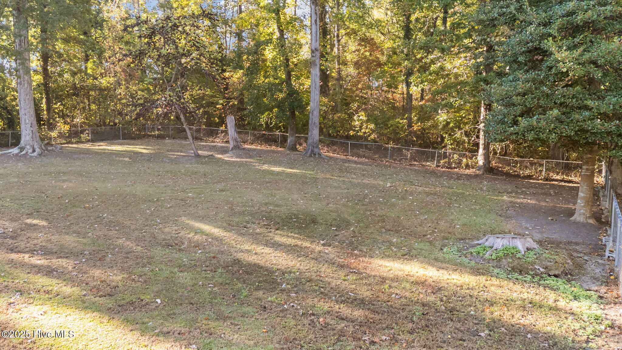 627 Greyson Road Rocky Mount, NC 27804 - Photo 31 of 32 Fenced in back yard