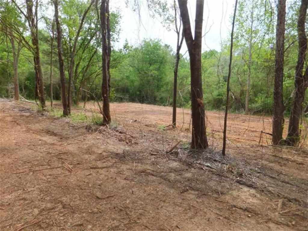 16 Friendship Road, Unit 1/2 MILE SOUTH OF WELLS H Seneca, SC 29678 - Photo 11 of 11 Gallery Image 11