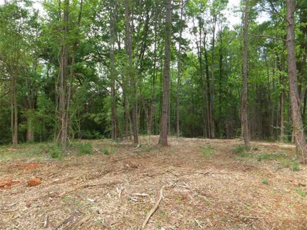 16 Friendship Road, Unit 1/2 MILE SOUTH OF WELLS H Seneca, SC 29678 - Photo 4 of 11 Gallery Image 4