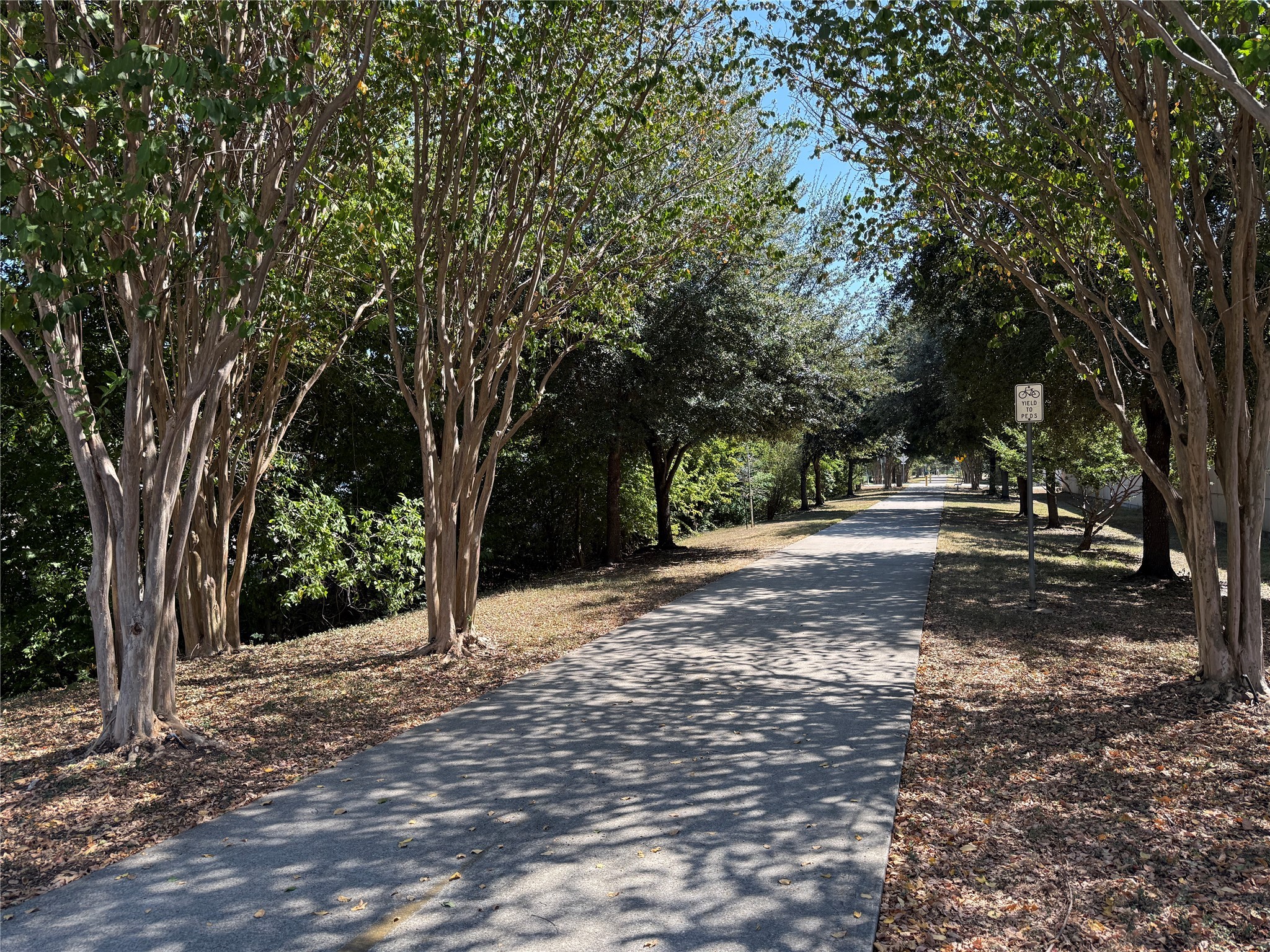 705 Delano Street Houston, TX 77003 - Photo 28 of 28 a view of outdoor space and yard