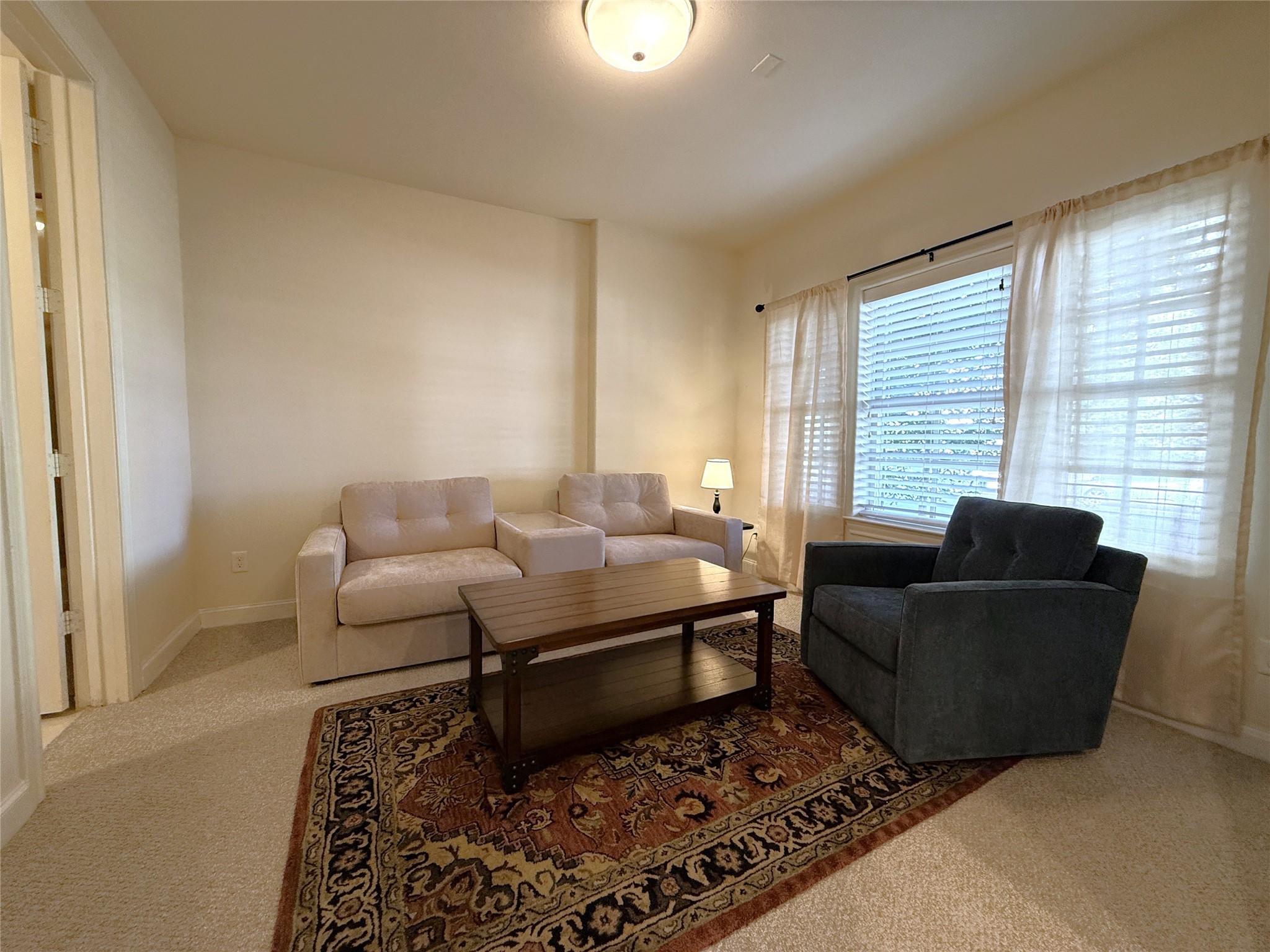 705 Delano Street Houston, TX 77003 - Photo 3 of 28 a living room with furniture and a rug