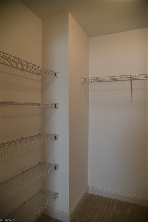 4246 Plantation Ridge Lane Greensboro, NC 27409 - Photo 17 of 30 Primary closet
