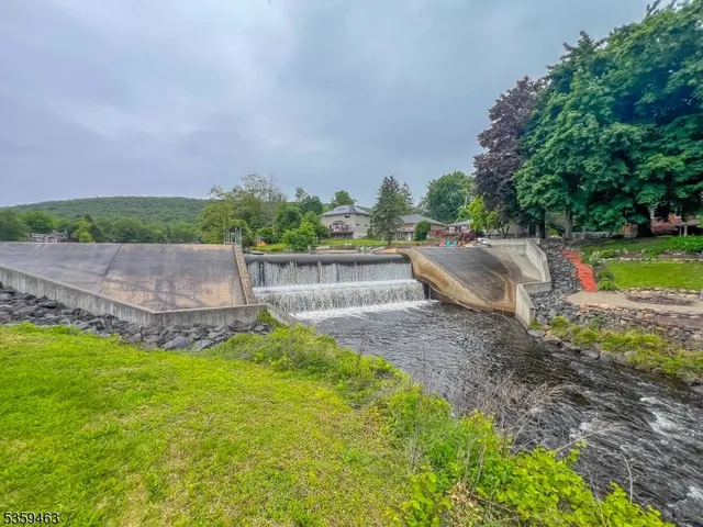 a view of a backyard with plants and large tree