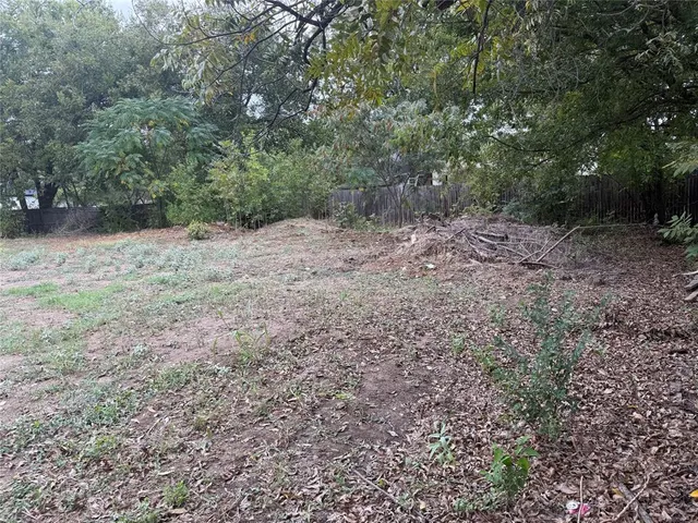 a view of a yard with trees