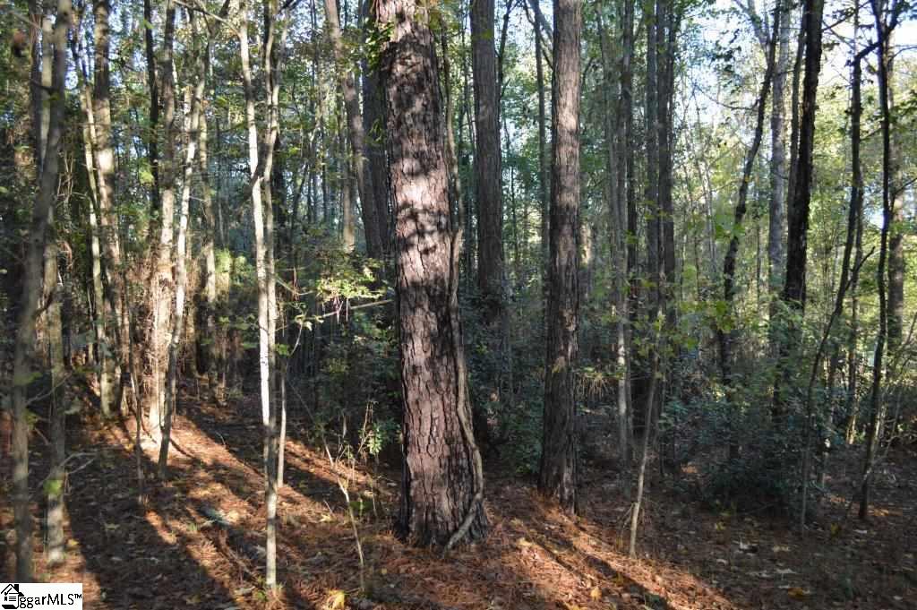 Traywick Drive Anderson, SC 29621 - Photo 5 of 11 Gallery Image 5