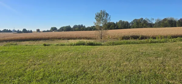 $50,000 | Tbd ( Lot 4-blk 1) Tbd ( Avenue Southeast, Harmony, MN 55939