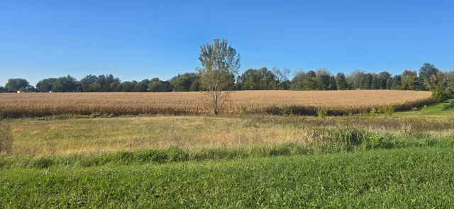 $50,000 | Tbd ( Lot 4-blk 1) Tbd ( Avenue Southeast, Harmony, MN 55939