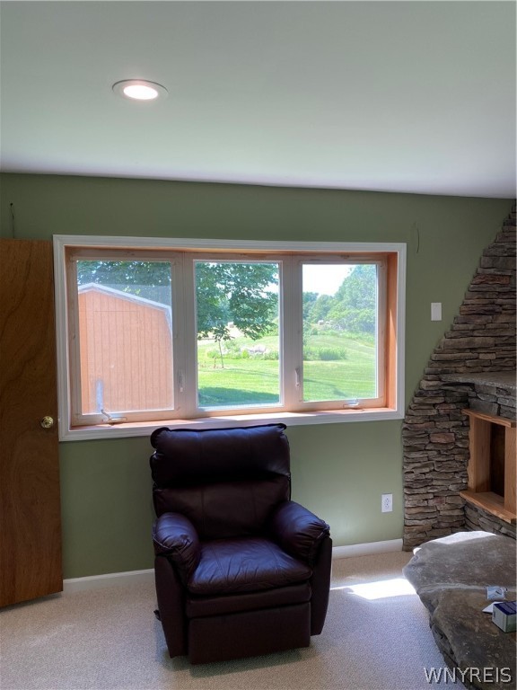 1994 Shaw Road Arkwright, NY 14062 - Photo 30 of 49