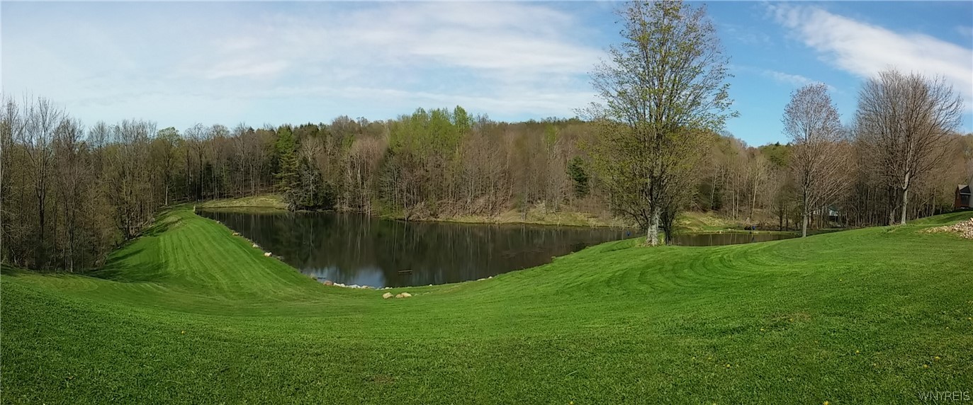 1994 Shaw Road Arkwright, NY 14062 - Photo 41 of 49