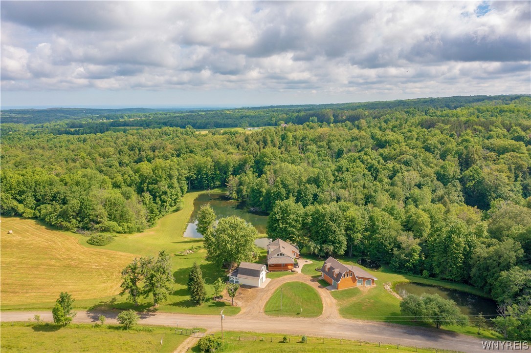 1994 Shaw Road Arkwright, NY 14062 - Photo 43 of 49