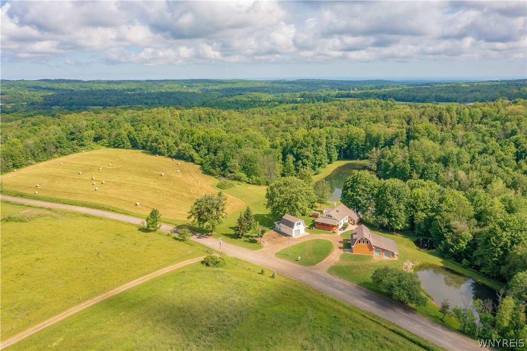 1994 Shaw Road Arkwright, NY 14062 - Photo 44 of 49