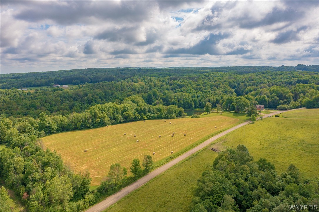 1994 Shaw Road Arkwright, NY 14062 - Photo 45 of 49