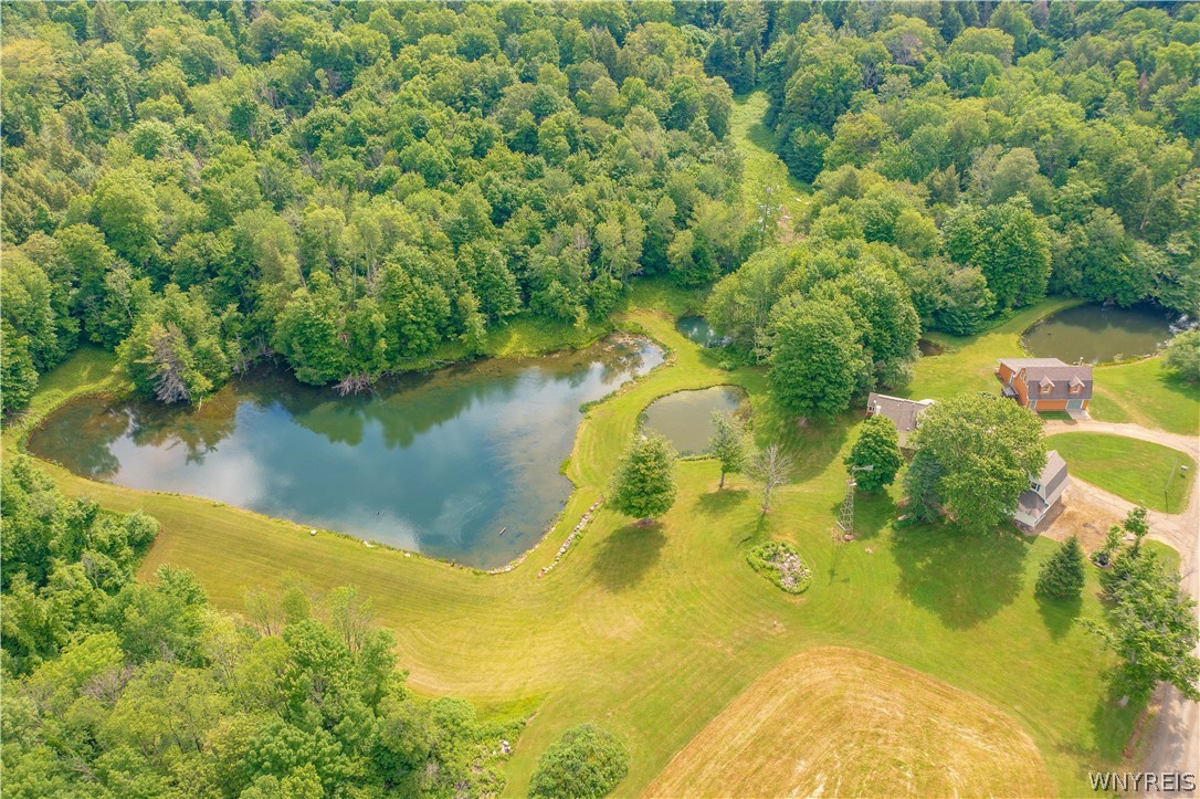 1994 Shaw Road Arkwright, NY 14062 - Photo 46 of 49