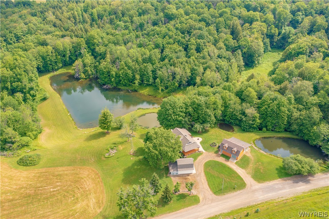 1994 Shaw Road Arkwright, NY 14062 - Photo 47 of 49