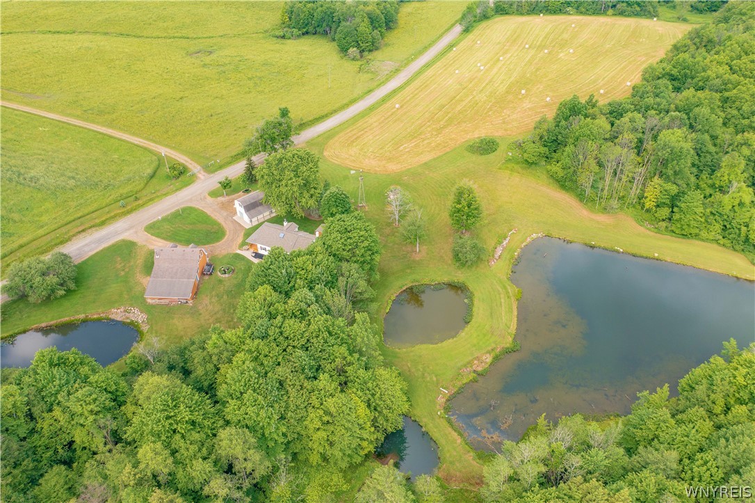 1994 Shaw Road Arkwright, NY 14062 - Photo 49 of 49