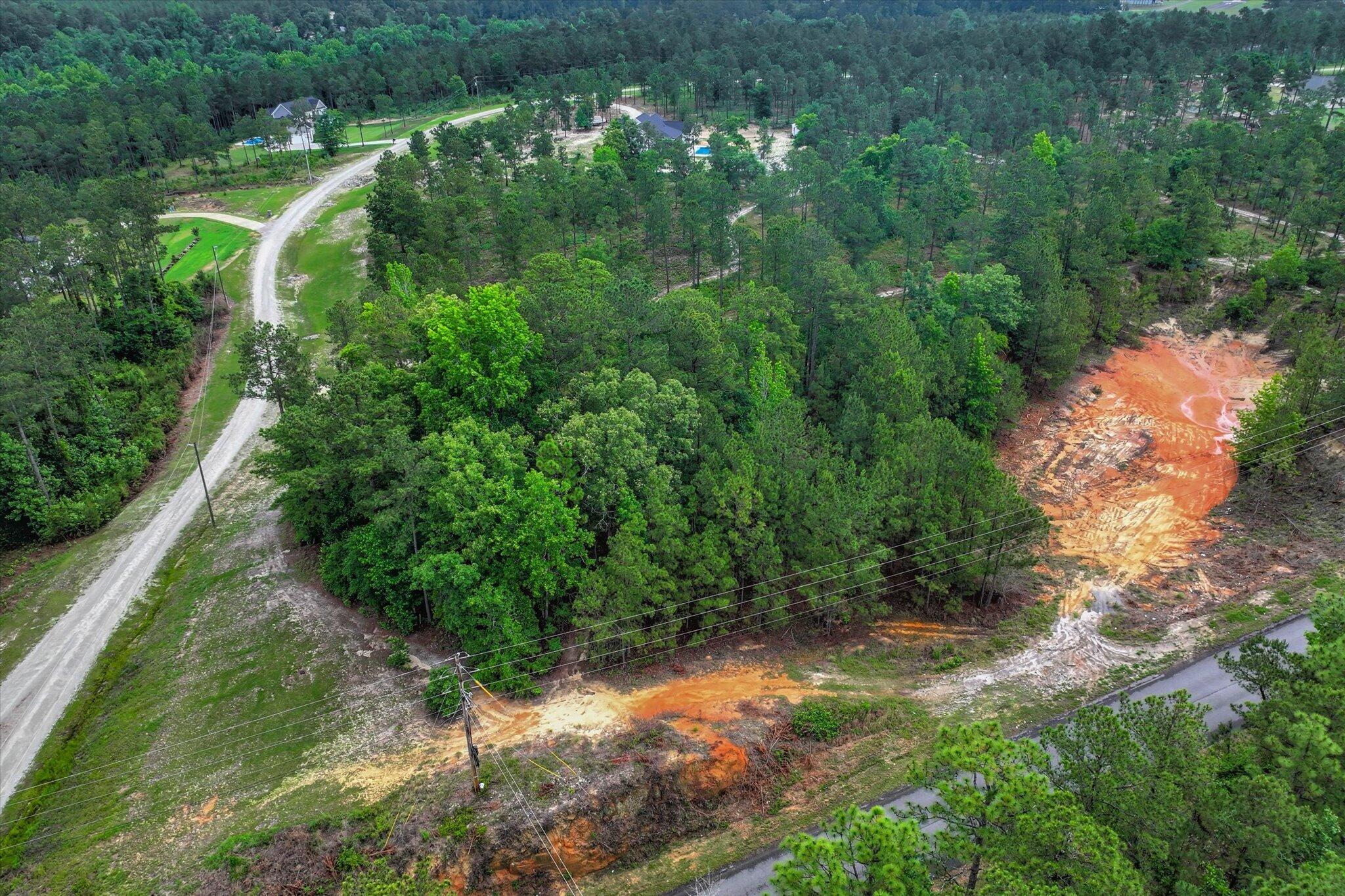 0 Mt Zion Road, Unit 1 Trenton, SC 29847 - Photo 14 of 19