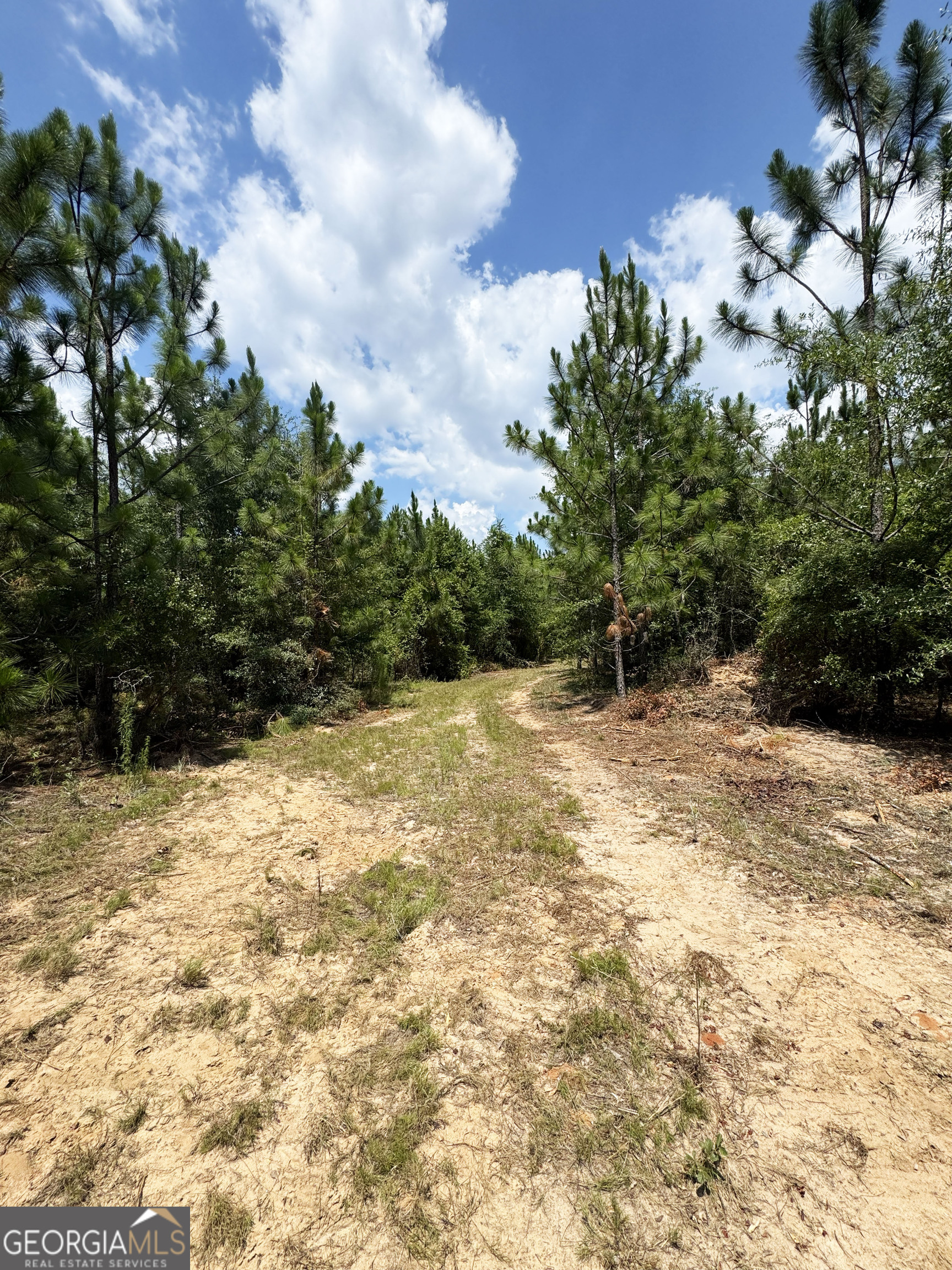 Tbd Tbd Wooten Road Cuthbert, GA 39840 - Photo 37 of 71