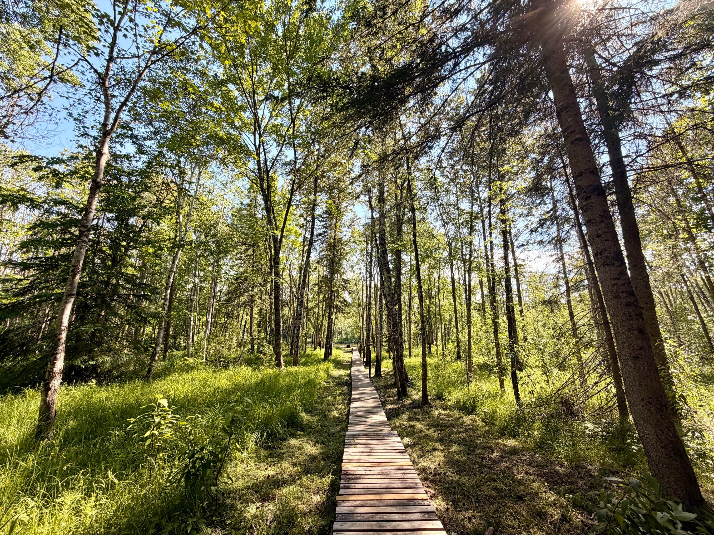 Tbd North Hulbert Road Eckerman, MI 49728 - Photo 81 of 92 Gallery Image 81
