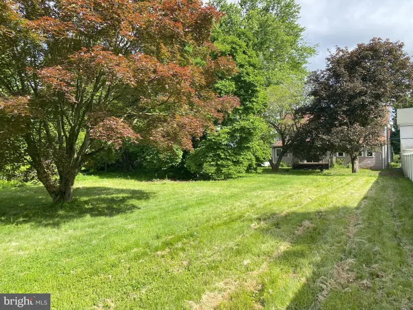 a view of field with tall trees