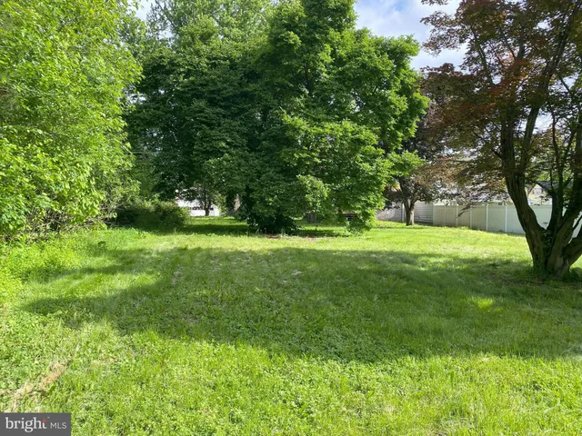a view of green field with trees in the background