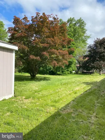 a view of yard with grass and trees