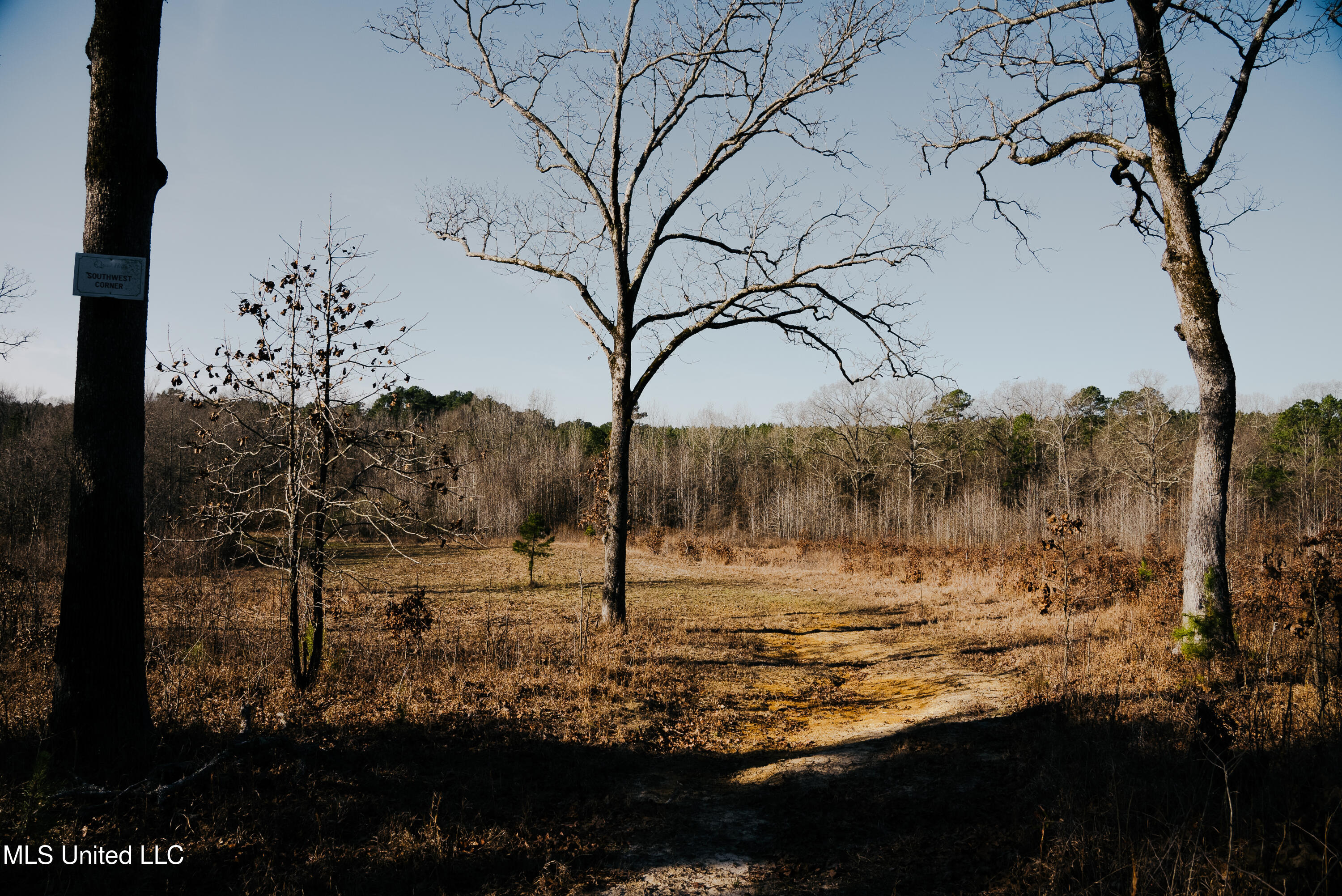 70 County Road Coffeeville, MS 38922 - Photo 2 of 49 1