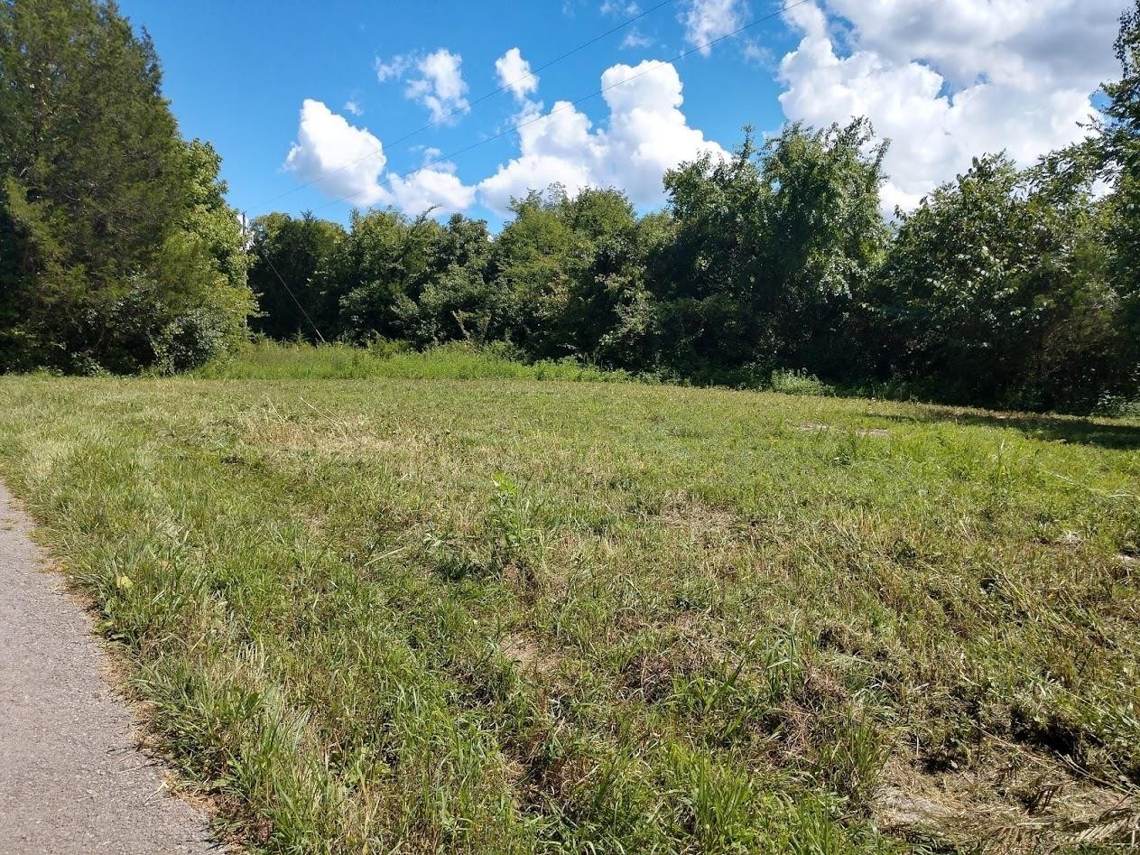 2366 Tracy Road Watertown, TN 37184 - Photo 1 of 25 a view of a big yard with lots of green space