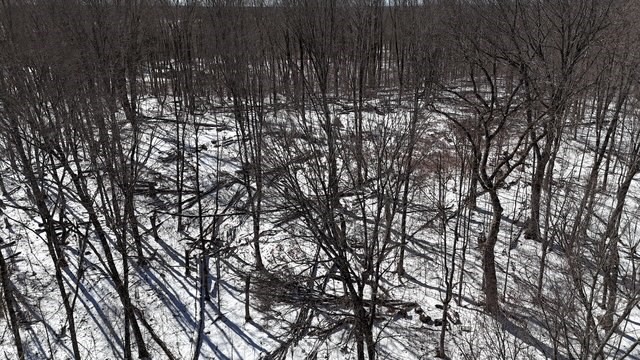 54-55 Wolf Island Road Hayward, WI 54843 - Photo 15 of 20