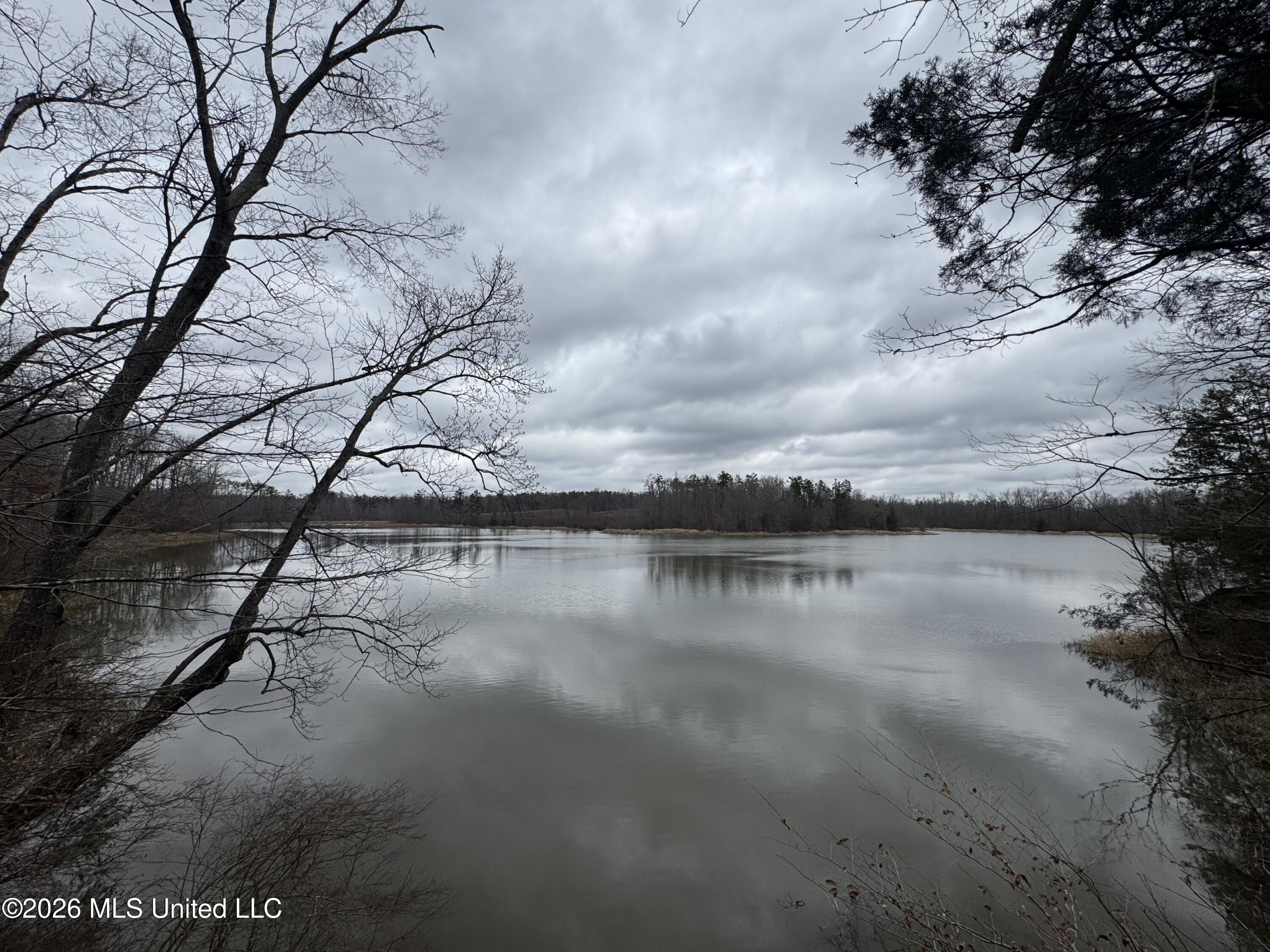 157 Eulogy Road Lexington, MS 39095 - Photo 1 of 60 1- mls