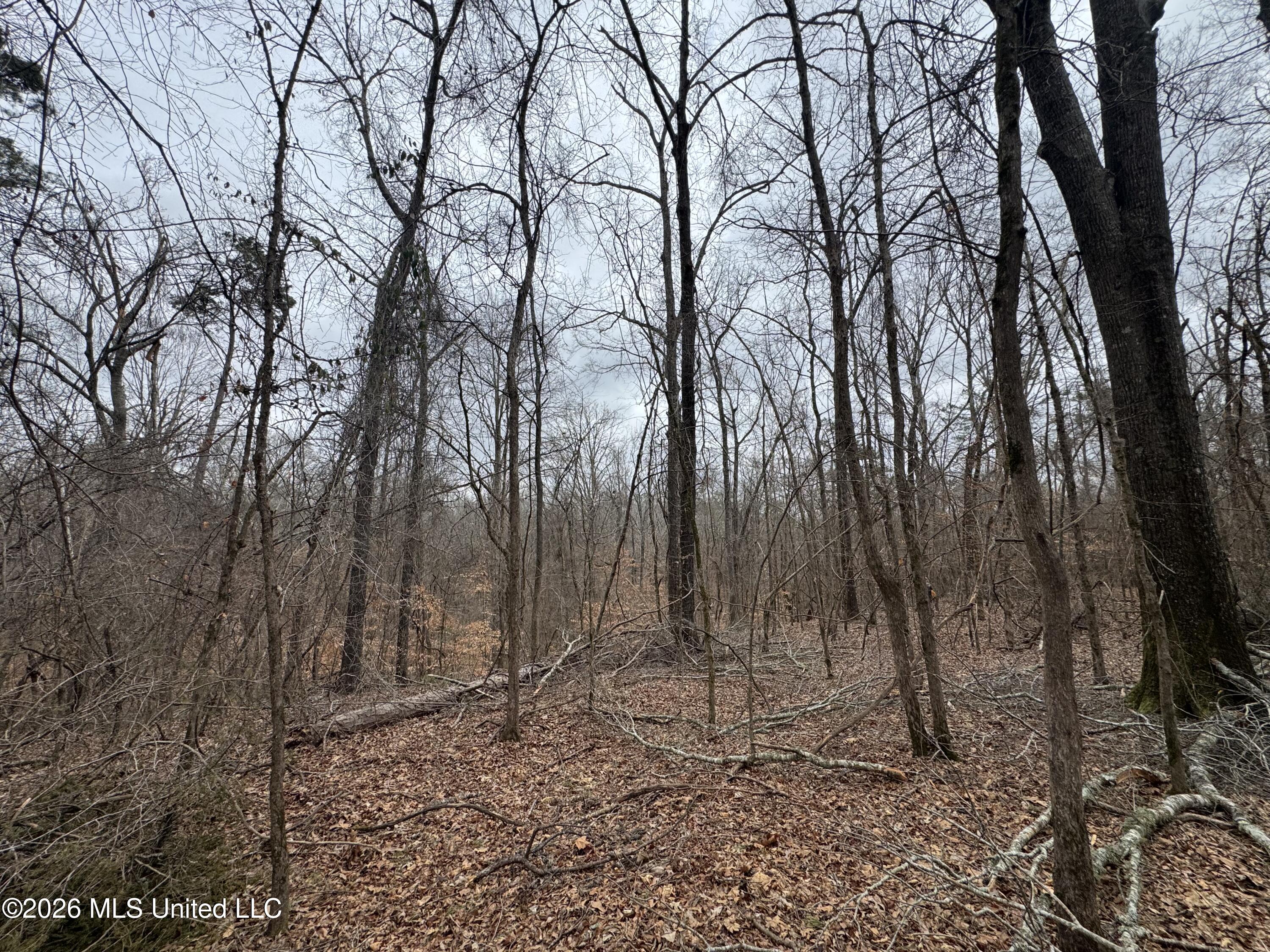 157 Eulogy Road Lexington, MS 39095 - Photo 11 of 60 Photo Feb 10 2026, 10 07 54
