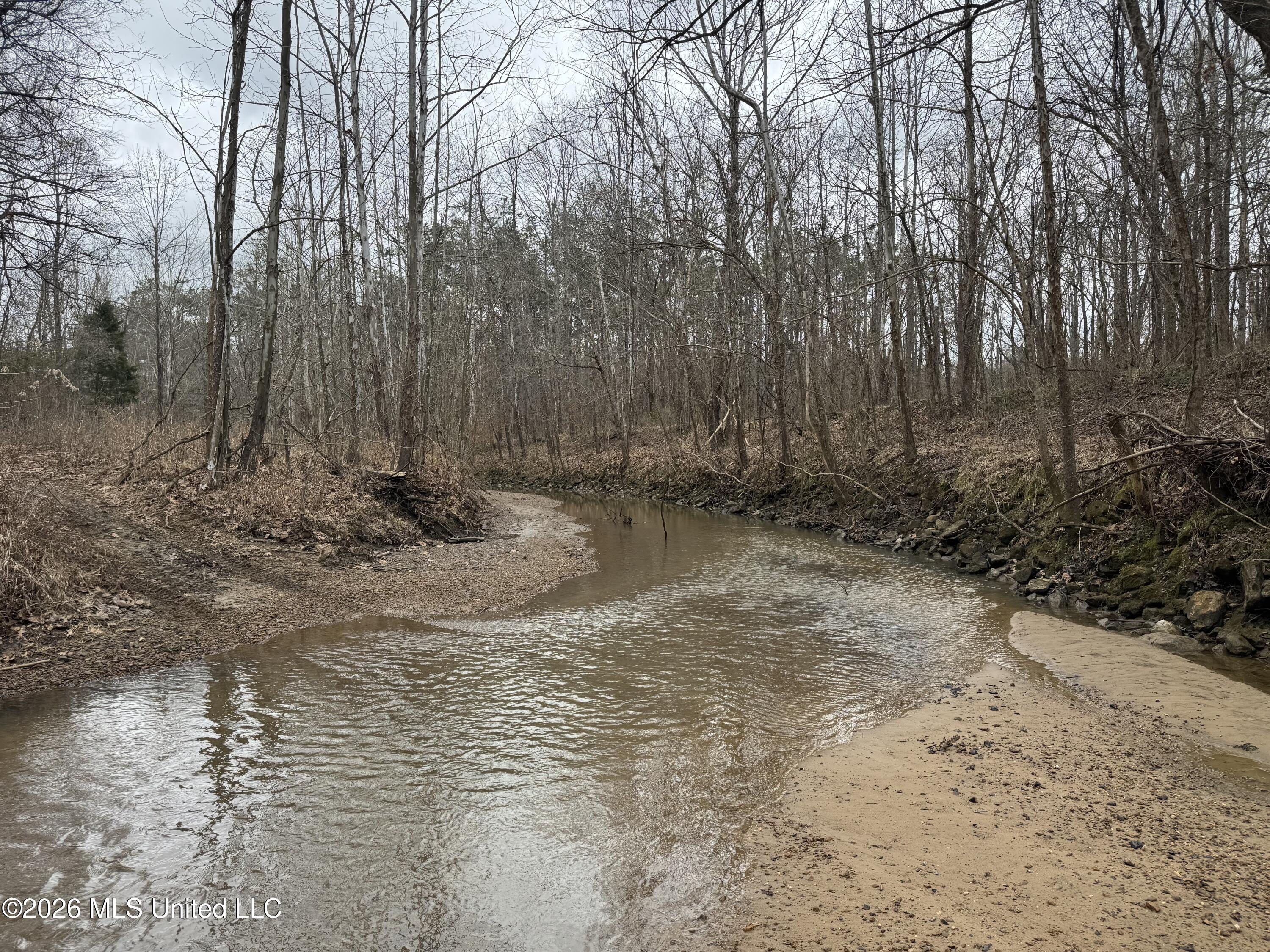 157 Eulogy Road Lexington, MS 39095 - Photo 15 of 60 Photo Feb 10 2026, 10 43 50