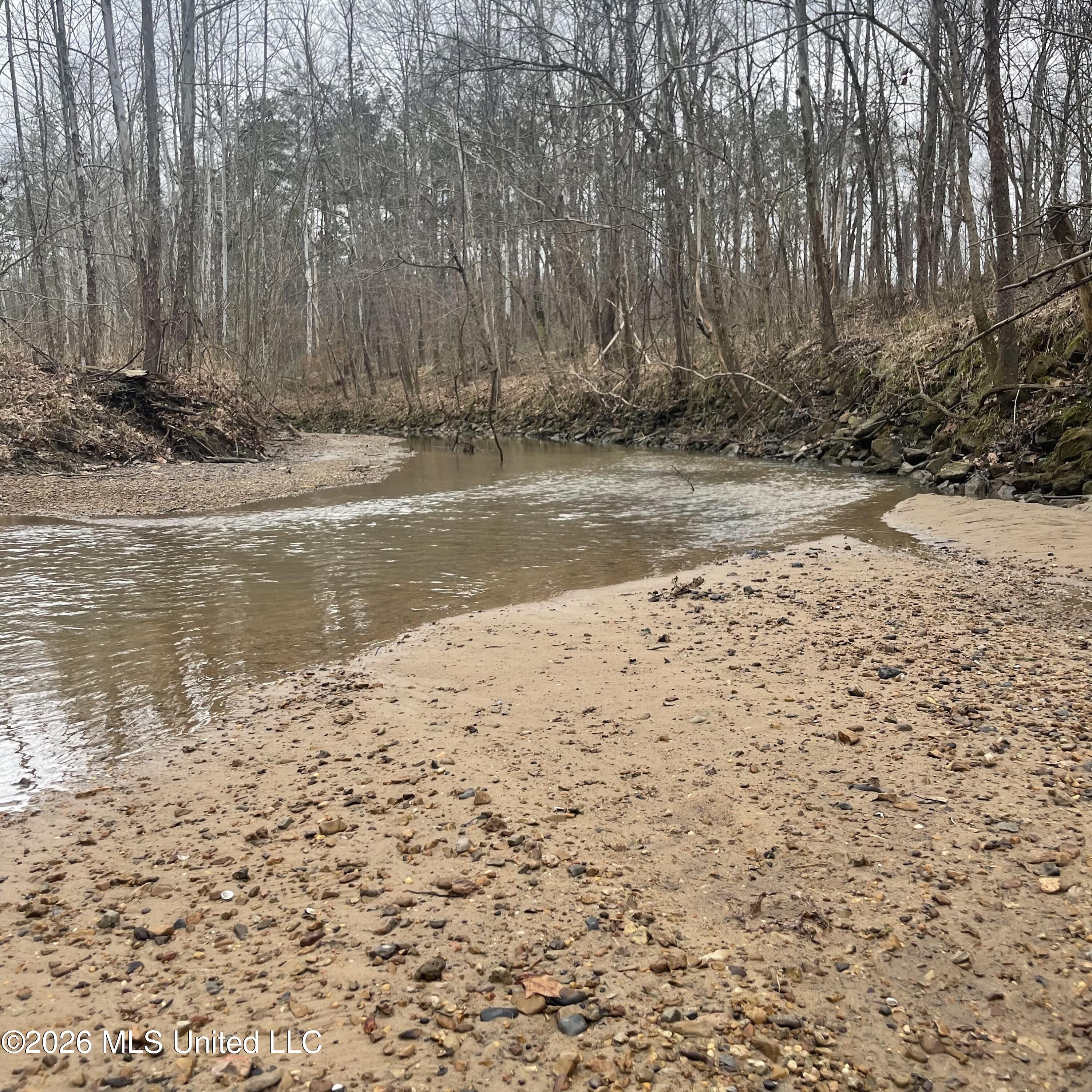 157 Eulogy Road Lexington, MS 39095 - Photo 16 of 60 Photo Feb 10 2026, 10 43 57