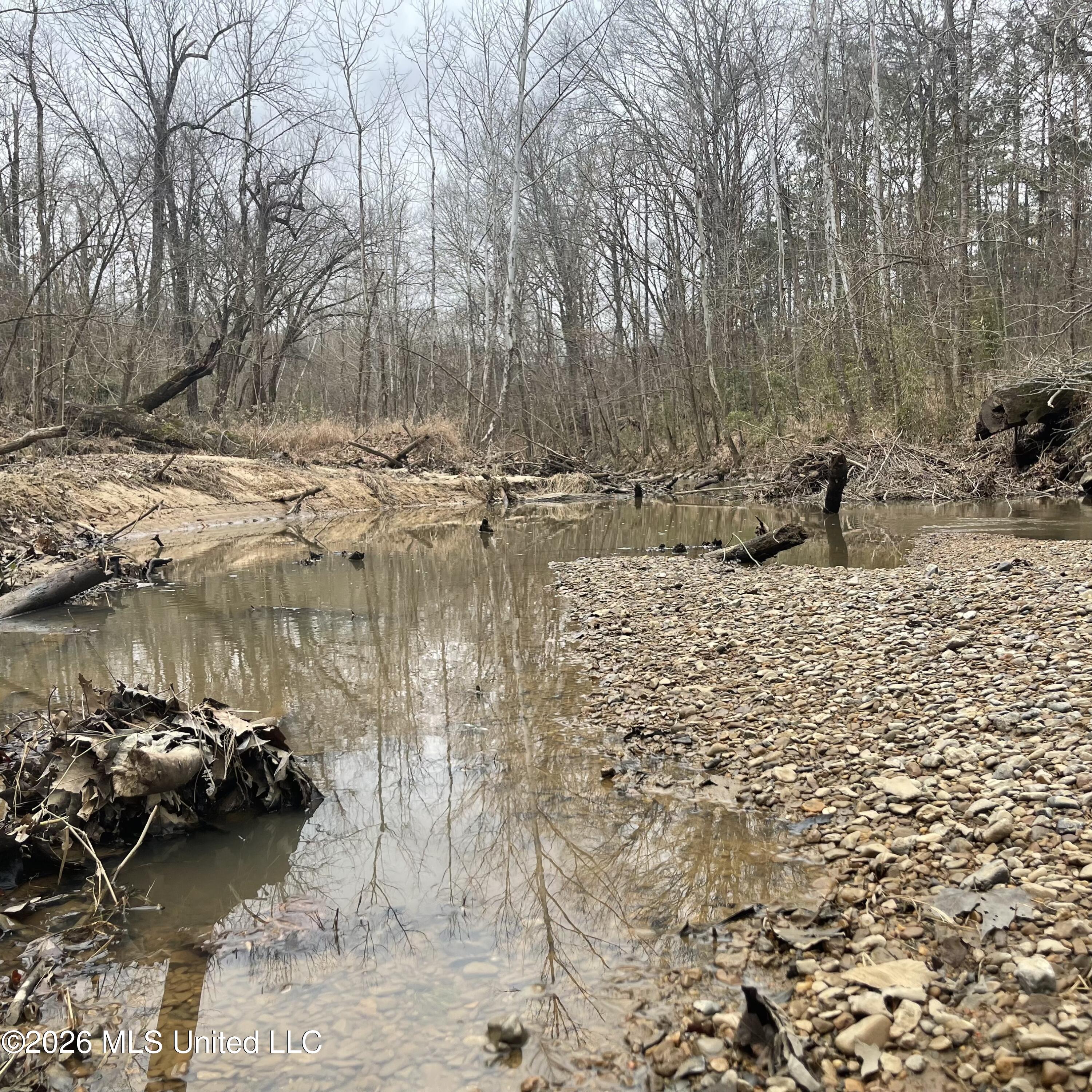 157 Eulogy Road Lexington, MS 39095 - Photo 17 of 60 Photo Feb 10 2026, 10 44 10