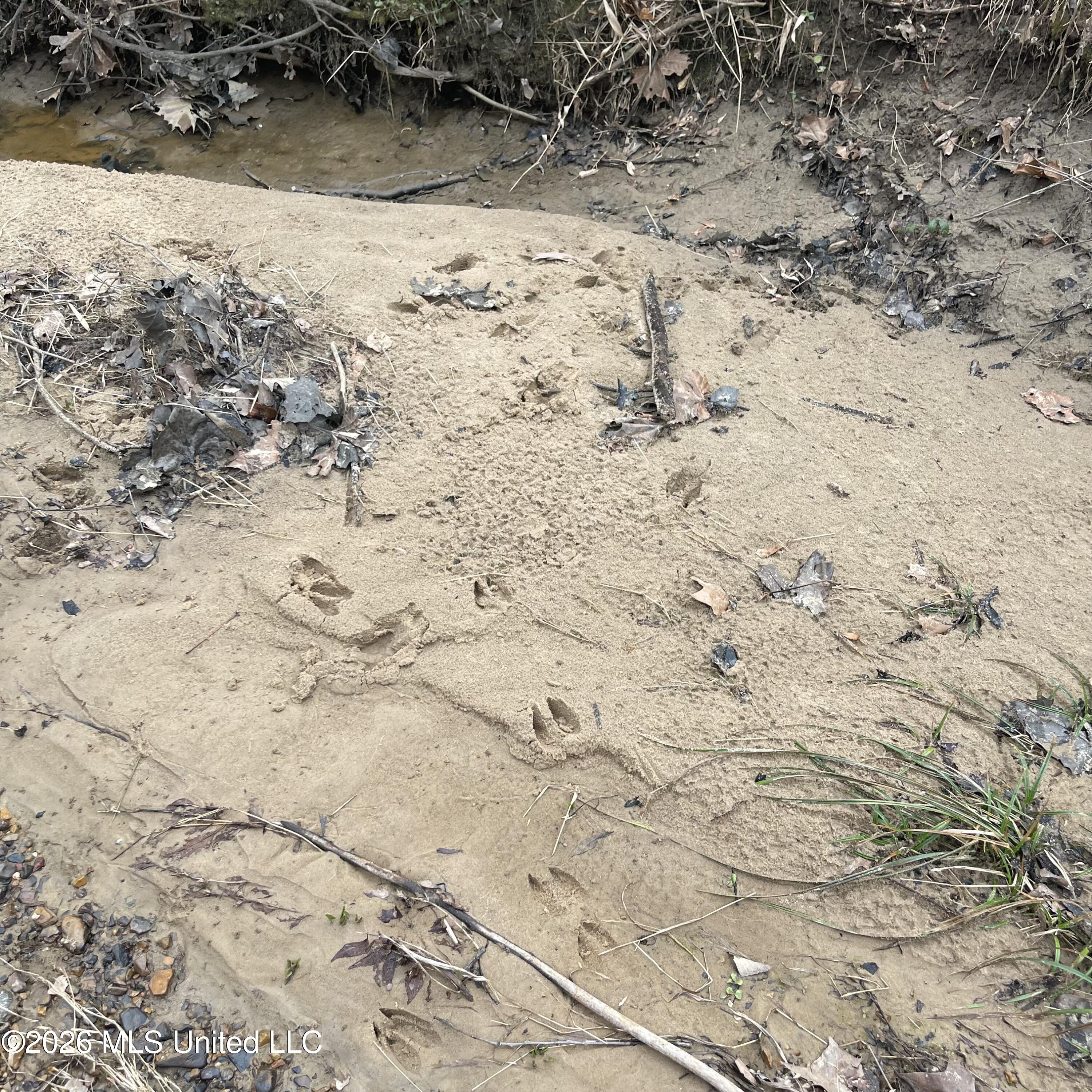 157 Eulogy Road Lexington, MS 39095 - Photo 18 of 60 Photo Feb 10 2026, 10 44 19