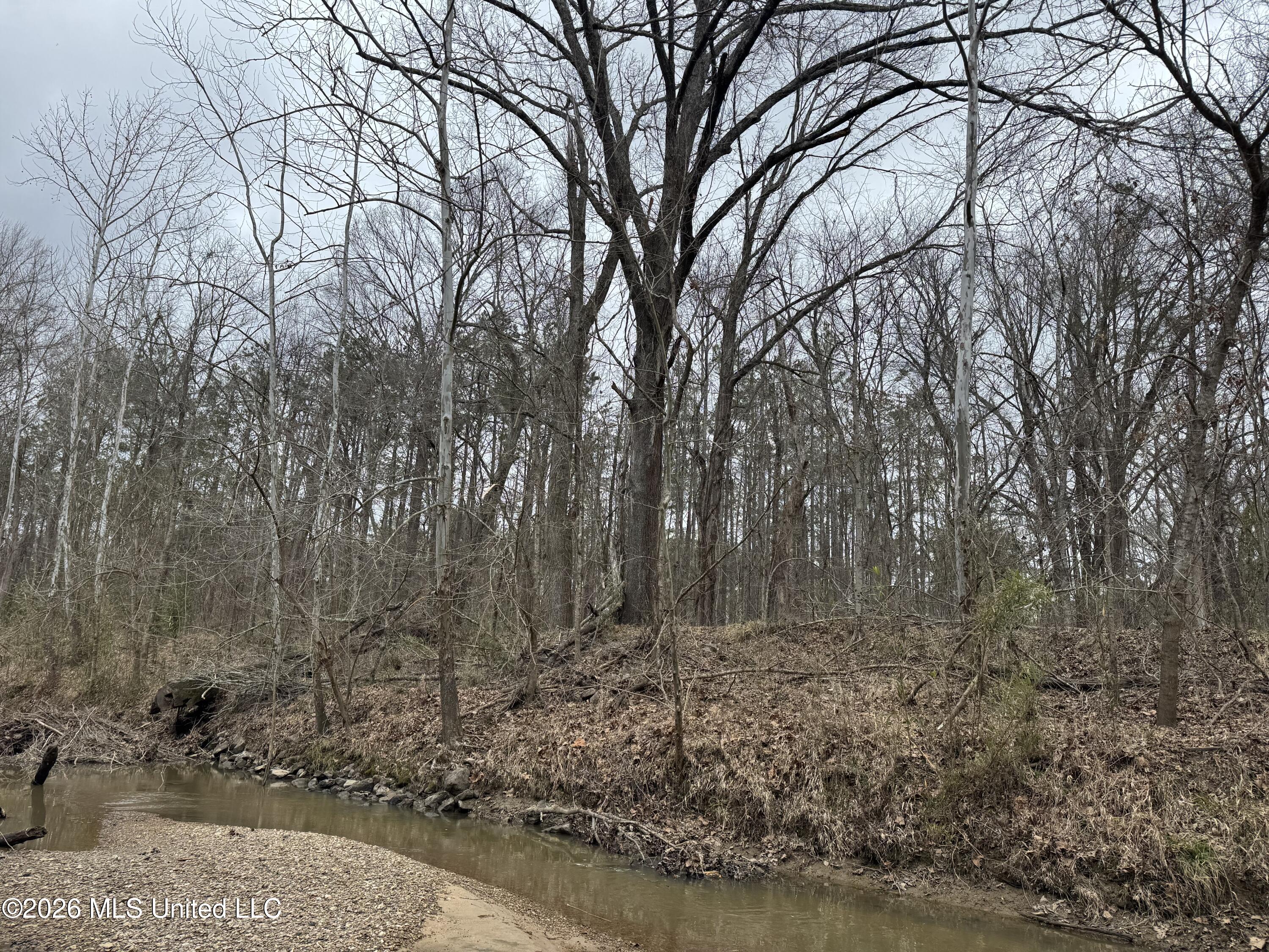 157 Eulogy Road Lexington, MS 39095 - Photo 19 of 60 Photo Feb 10 2026, 10 44 36