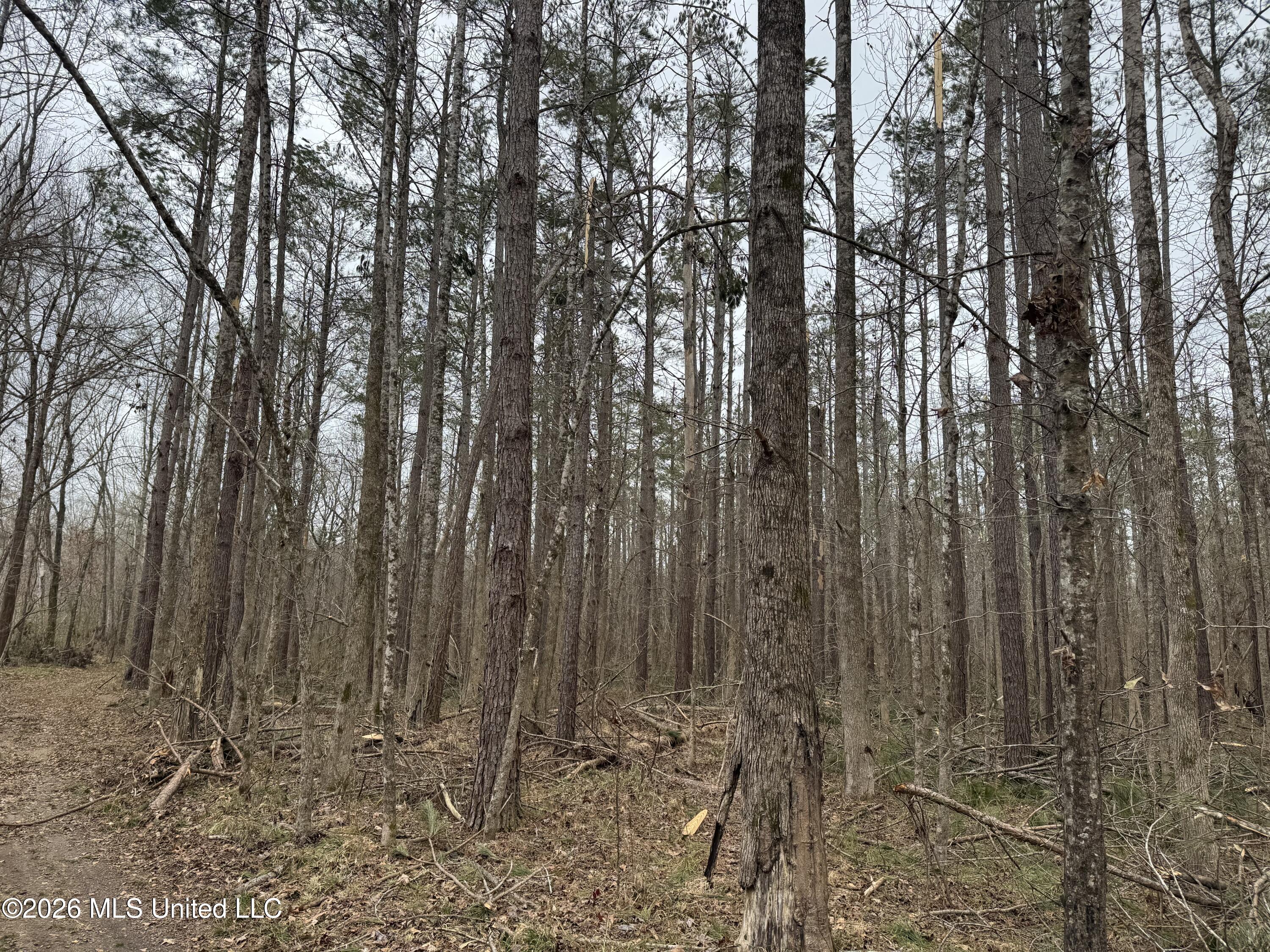 157 Eulogy Road Lexington, MS 39095 - Photo 20 of 60 Photo Feb 10 2026, 10 45 23