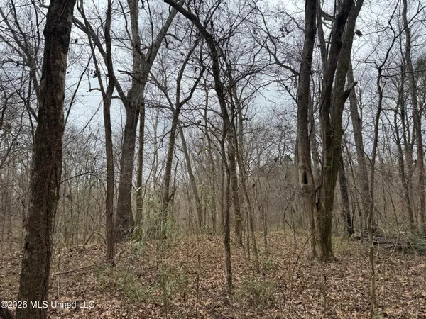 $720,000 | 157 Eulogy Road, Lexington, MS 39095