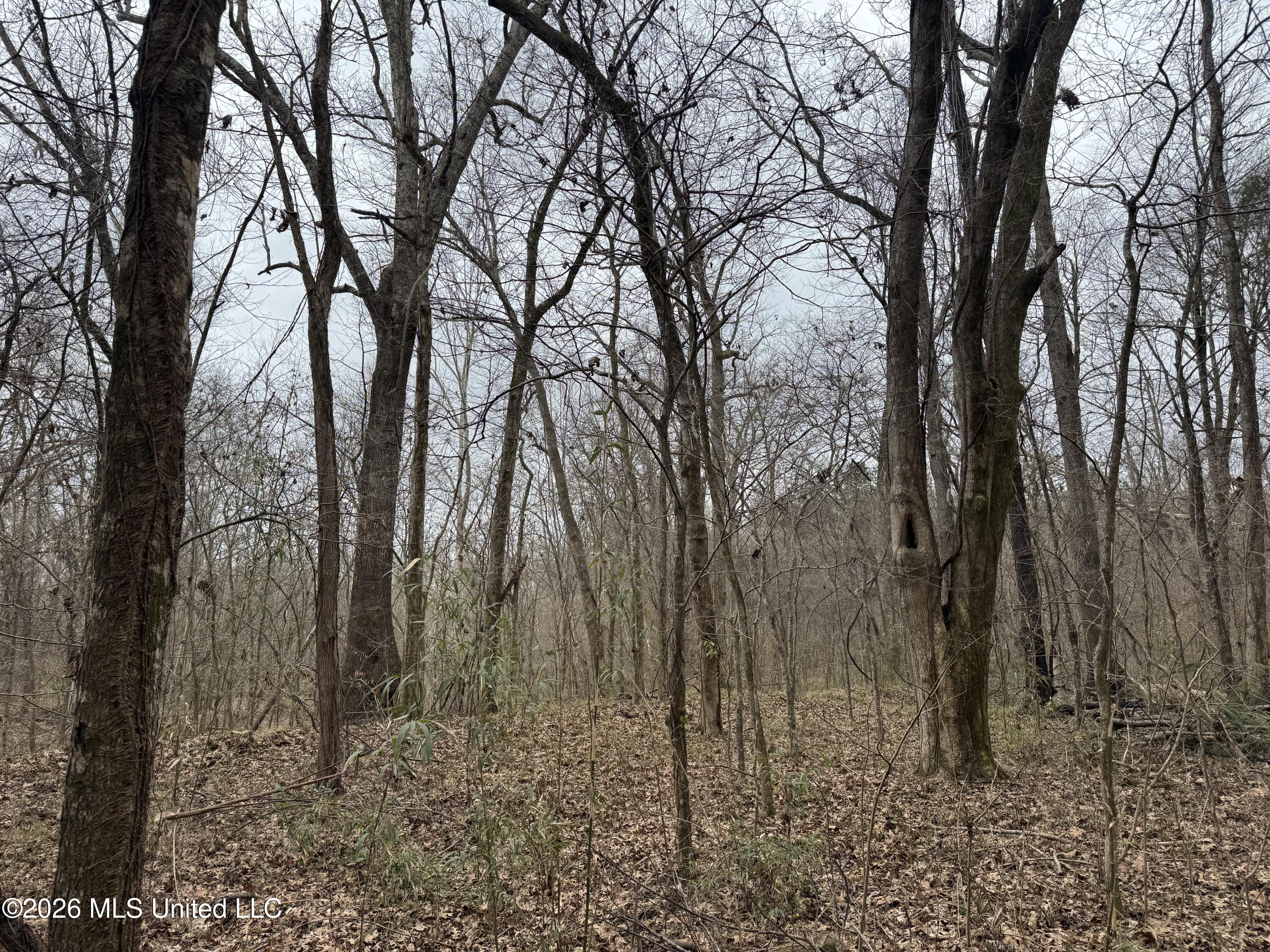 157 Eulogy Road Lexington, MS 39095 - Photo 21 of 60 Photo Feb 10 2026, 10 46 00