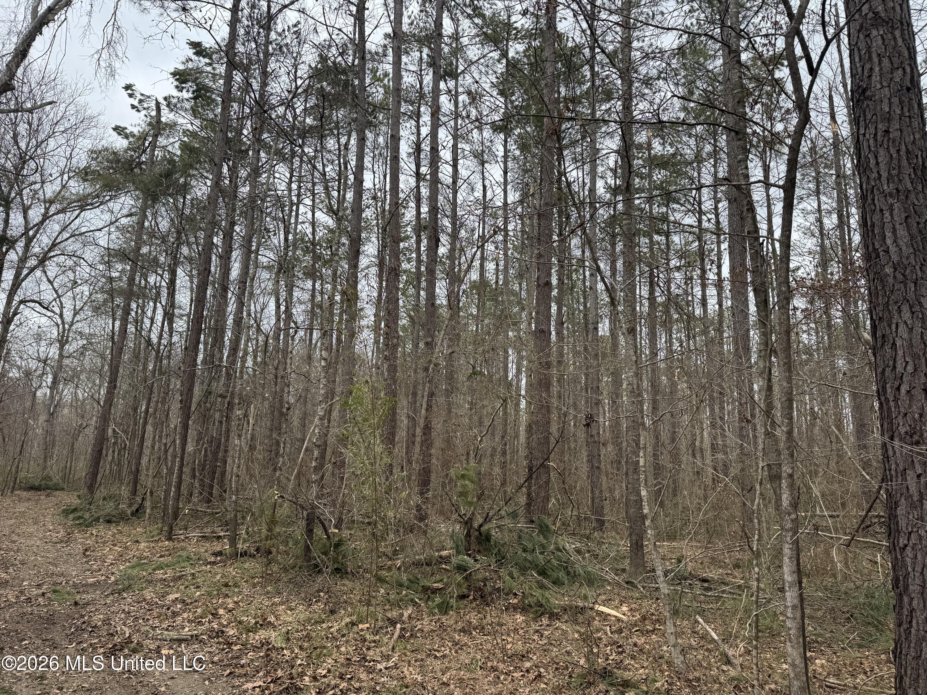 157 Eulogy Road Lexington, MS 39095 - Photo 22 of 60 Photo Feb 10 2026, 10 46 04