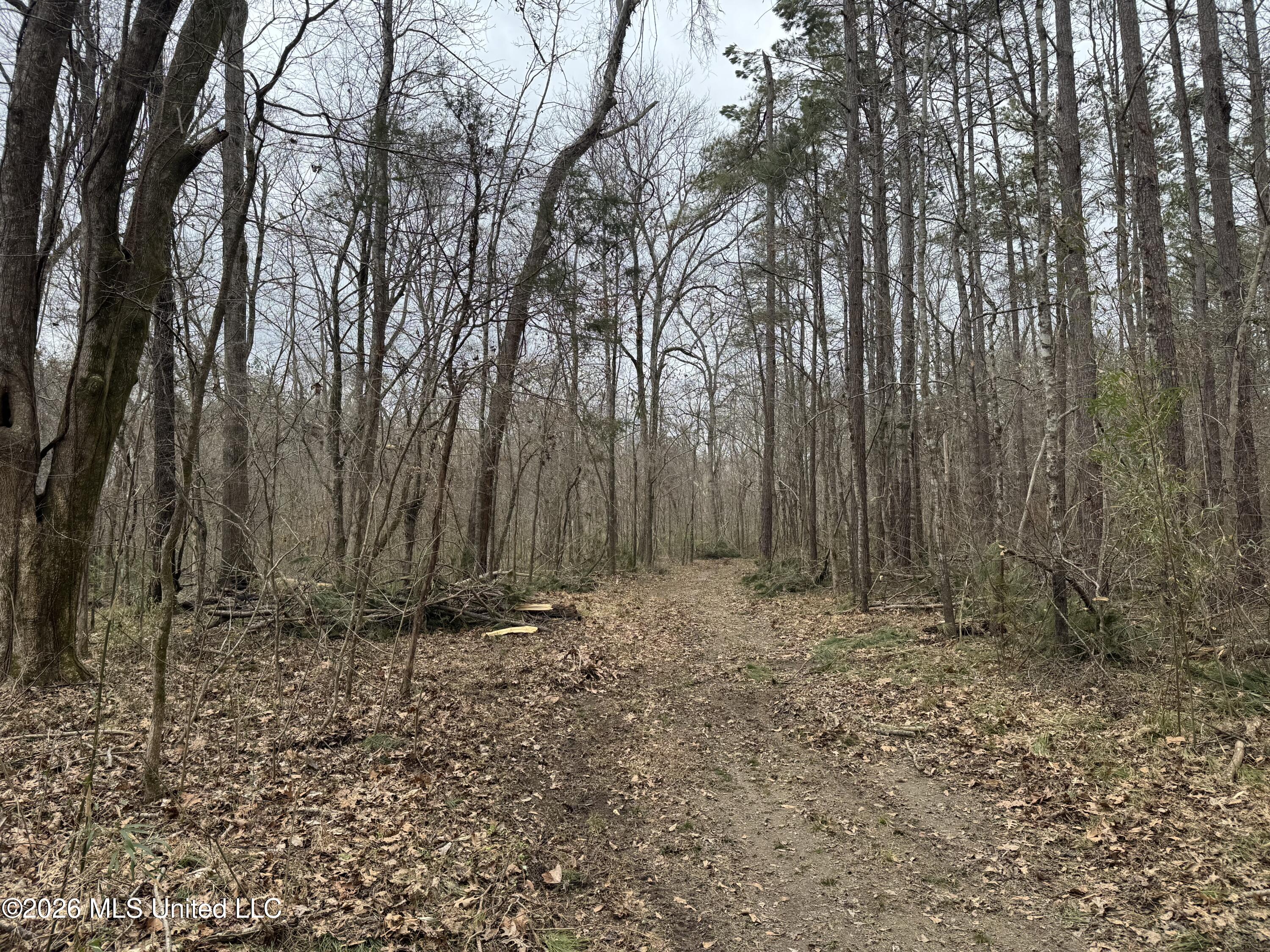 157 Eulogy Road Lexington, MS 39095 - Photo 23 of 60 Photo Feb 10 2026, 10 46 07