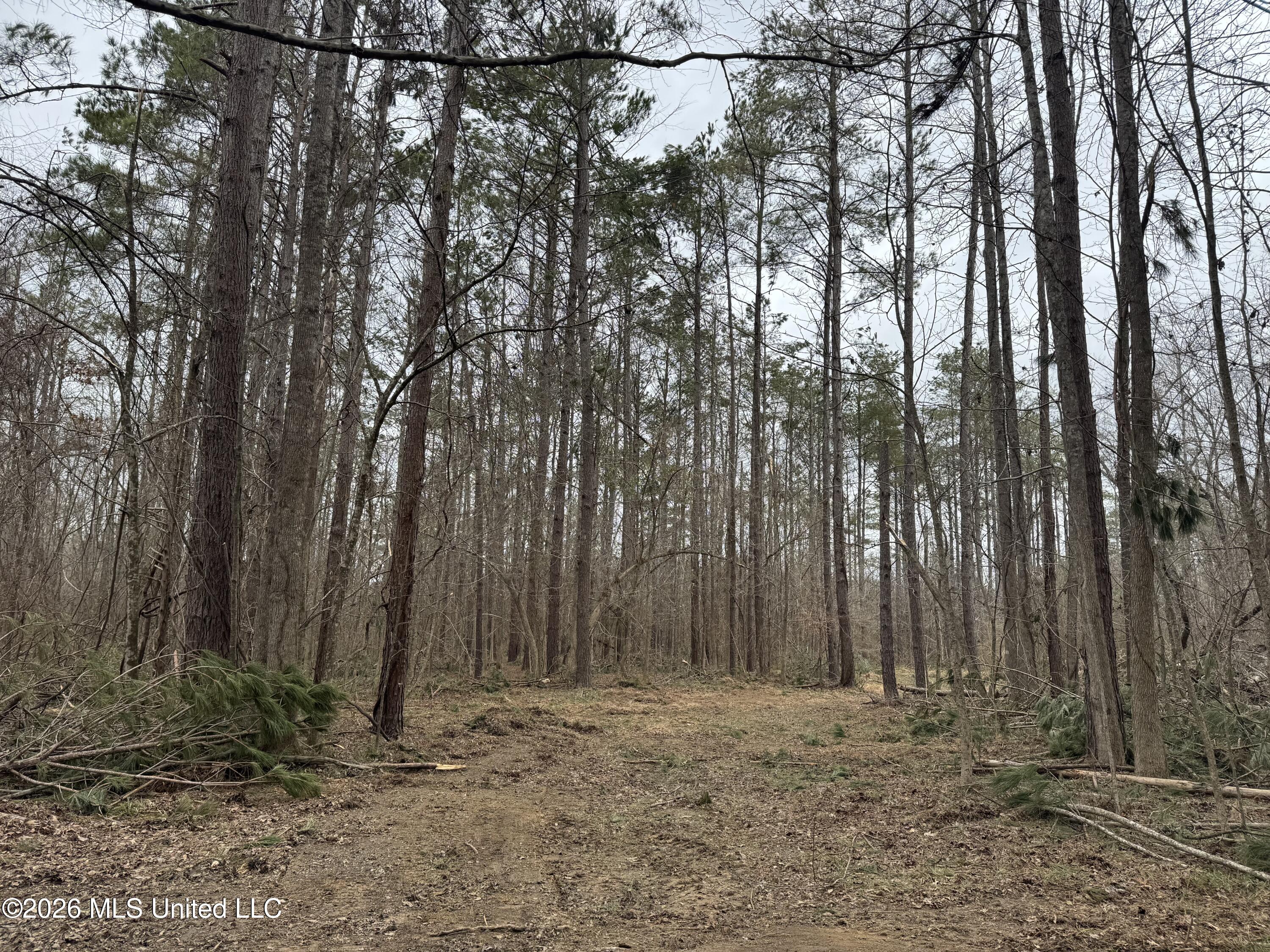 157 Eulogy Road Lexington, MS 39095 - Photo 24 of 60 Photo Feb 10 2026, 10 47 26