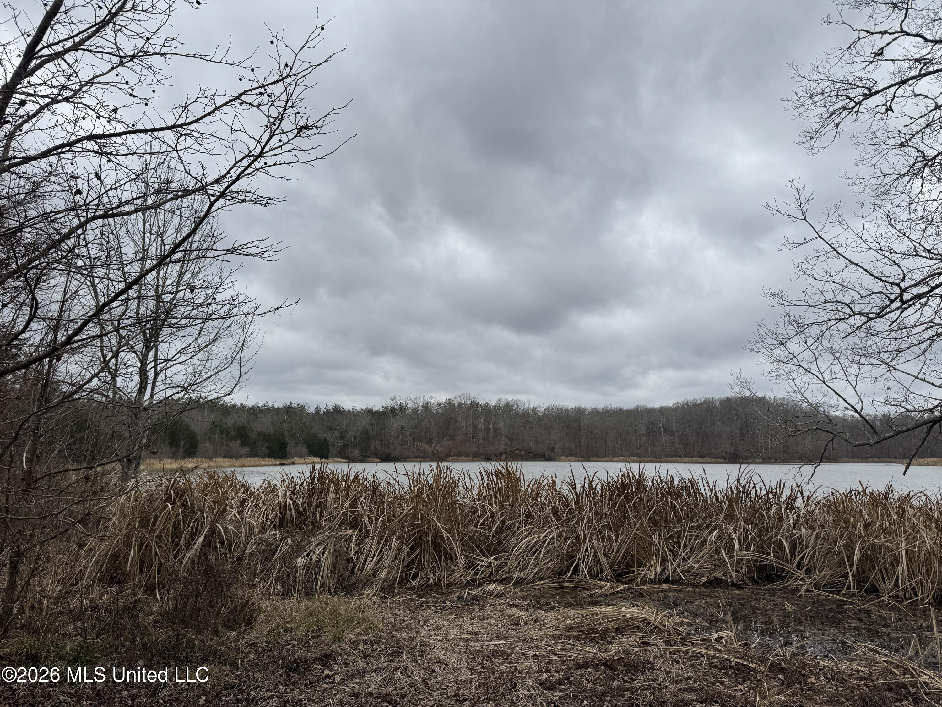 157 Eulogy Road Lexington, MS 39095 - Photo 25 of 60 Photo Feb 10 2026, 10 49 18