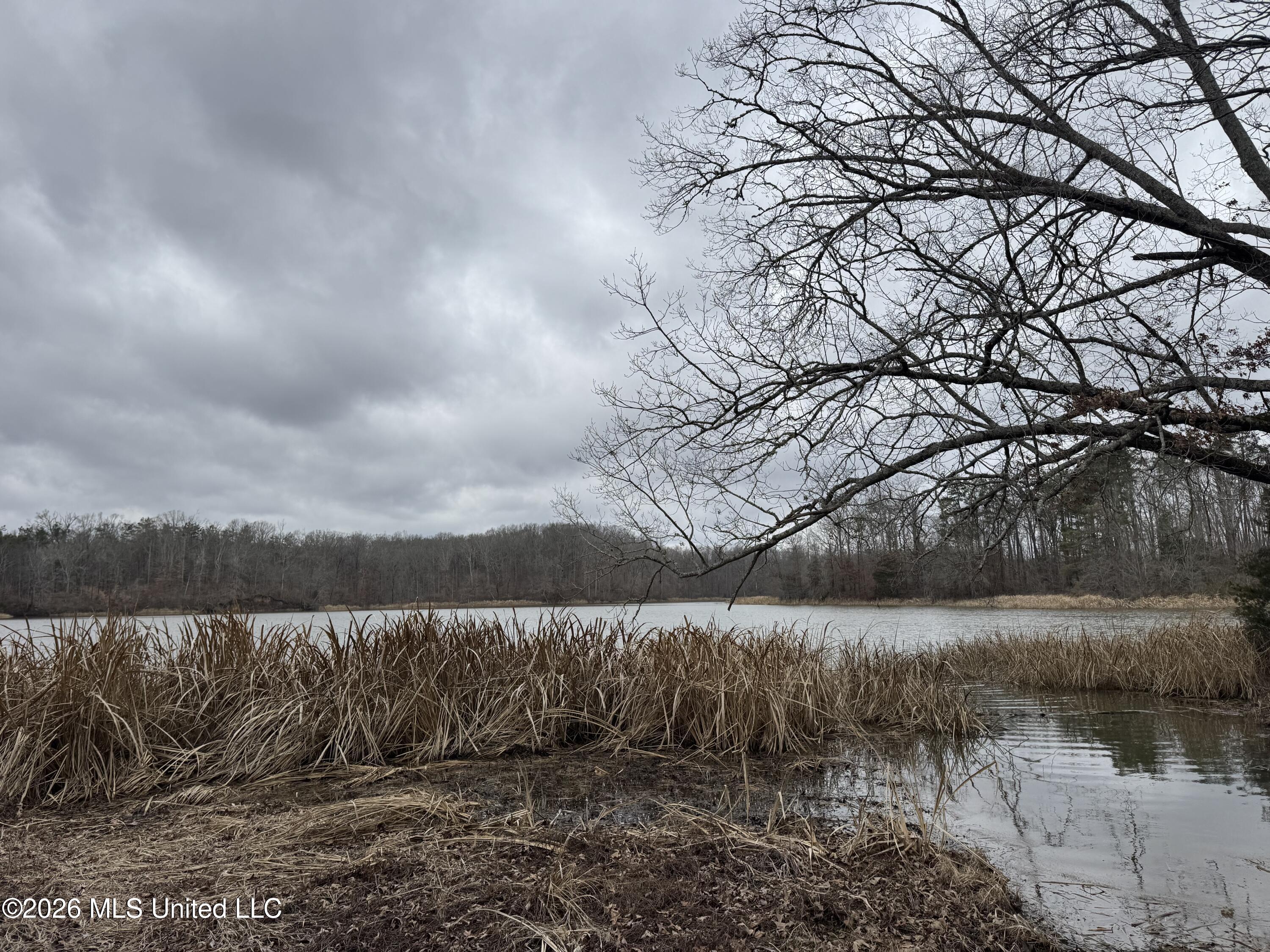 157 Eulogy Road Lexington, MS 39095 - Photo 26 of 60 Photo Feb 10 2026, 10 49 20