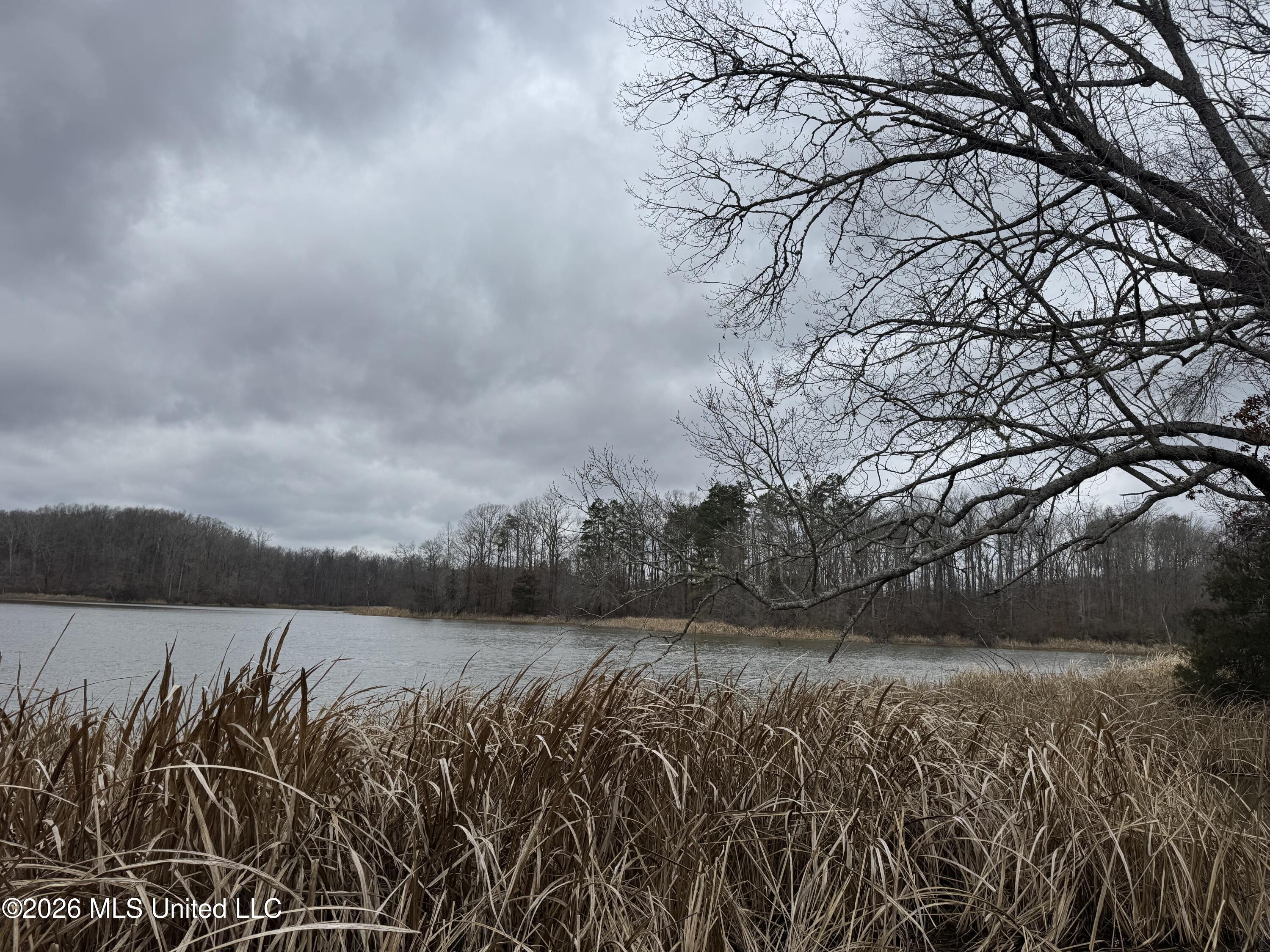 157 Eulogy Road Lexington, MS 39095 - Photo 27 of 60 Photo Feb 10 2026, 10 51 02