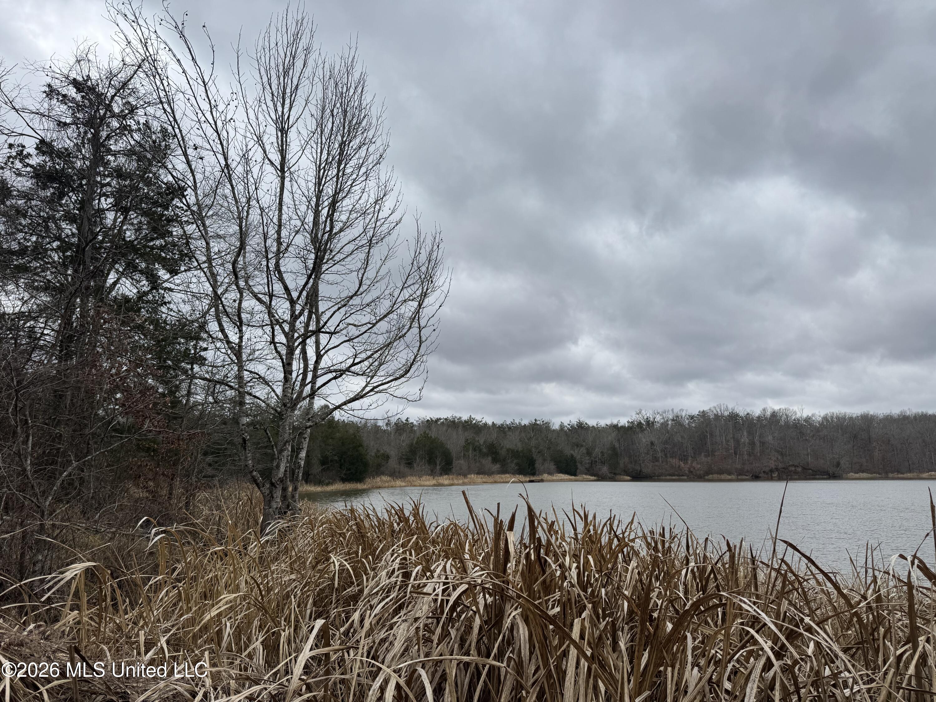 157 Eulogy Road Lexington, MS 39095 - Photo 28 of 60 Photo Feb 10 2026, 10 51 04