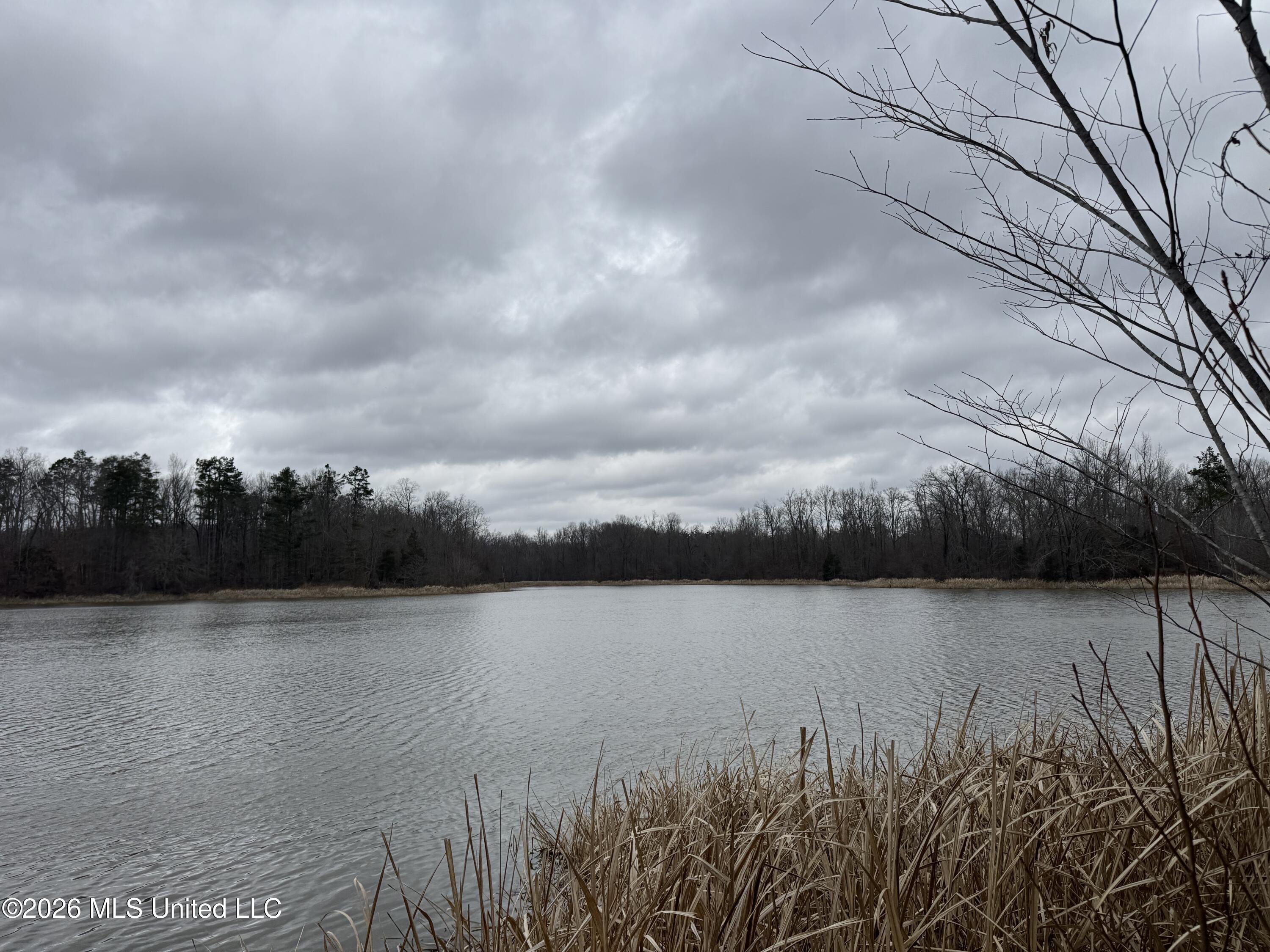 157 Eulogy Road Lexington, MS 39095 - Photo 31 of 60 Photo Feb 10 2026, 10 57 03