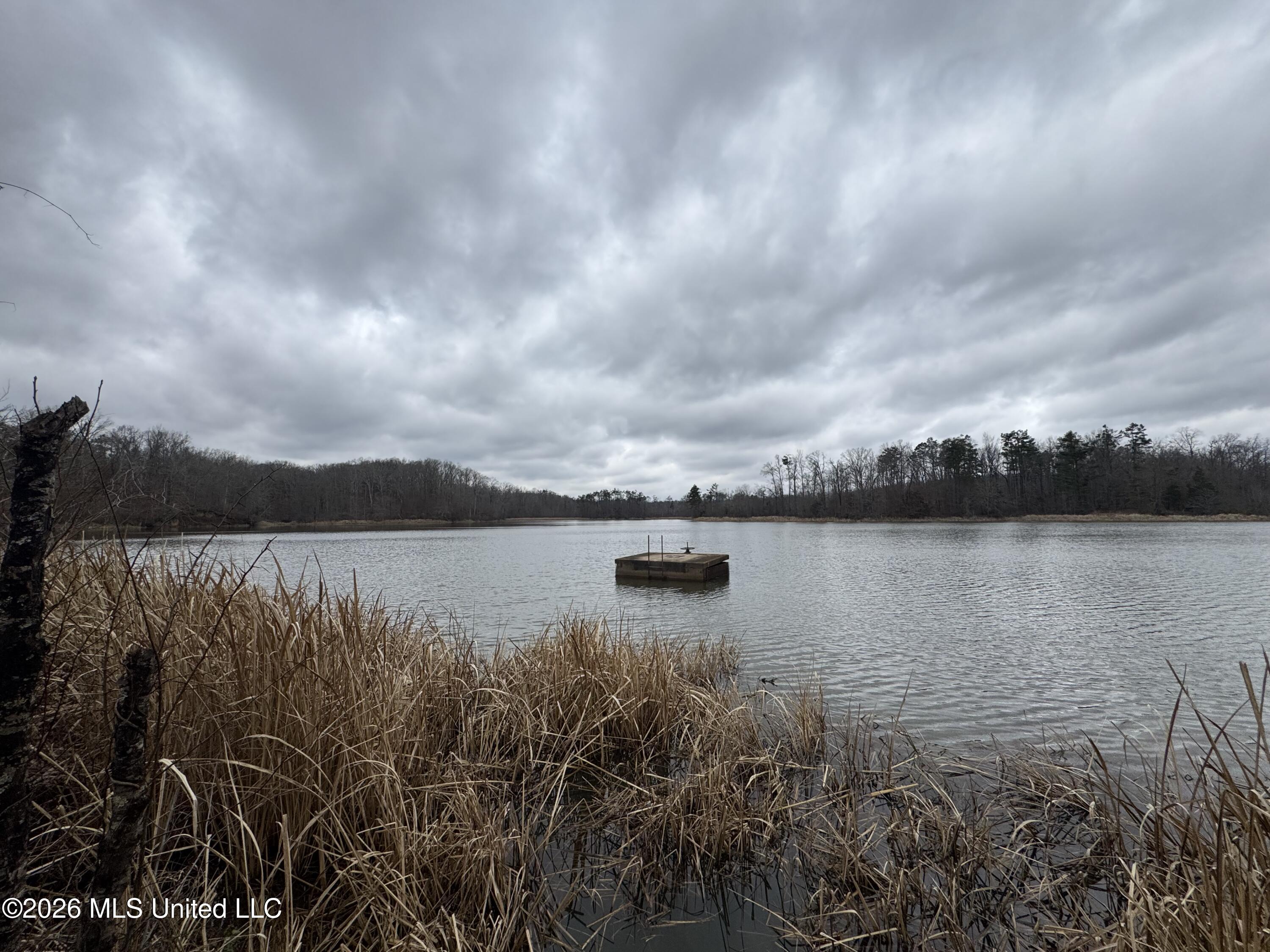 157 Eulogy Road Lexington, MS 39095 - Photo 32 of 60 Photo Feb 10 2026, 10 57 09