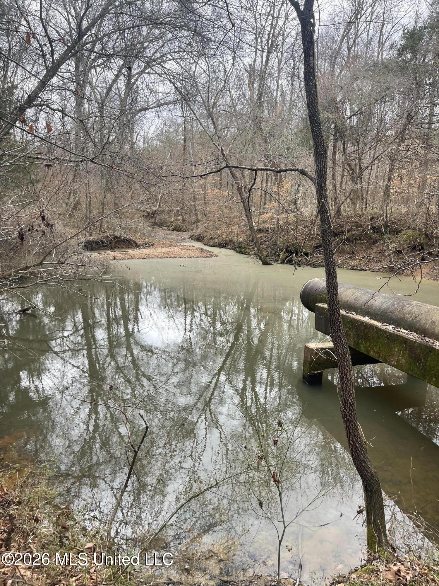157 Eulogy Road Lexington, MS 39095 - Photo 33 of 60 Photo Feb 10 2026, 10 57 42